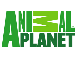 Animal Planet